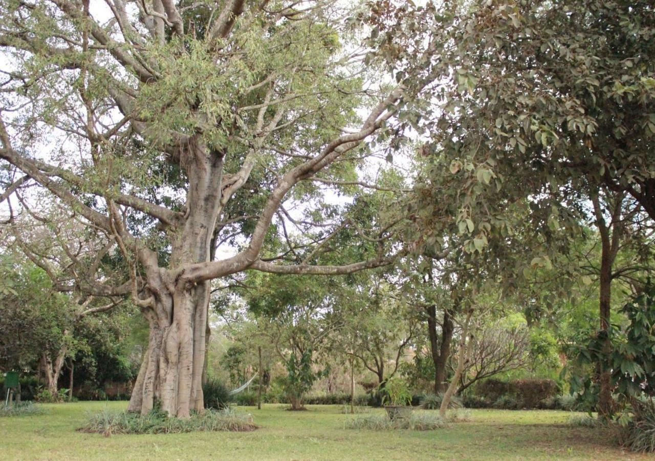 Barefoot Lodge And Safaris - Malawi Lilongwe Esterno foto