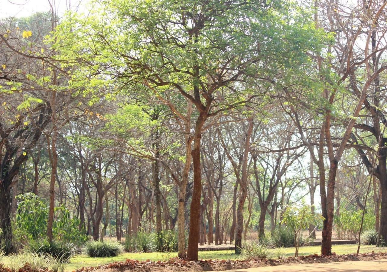Barefoot Lodge And Safaris - Malawi Lilongwe Esterno foto